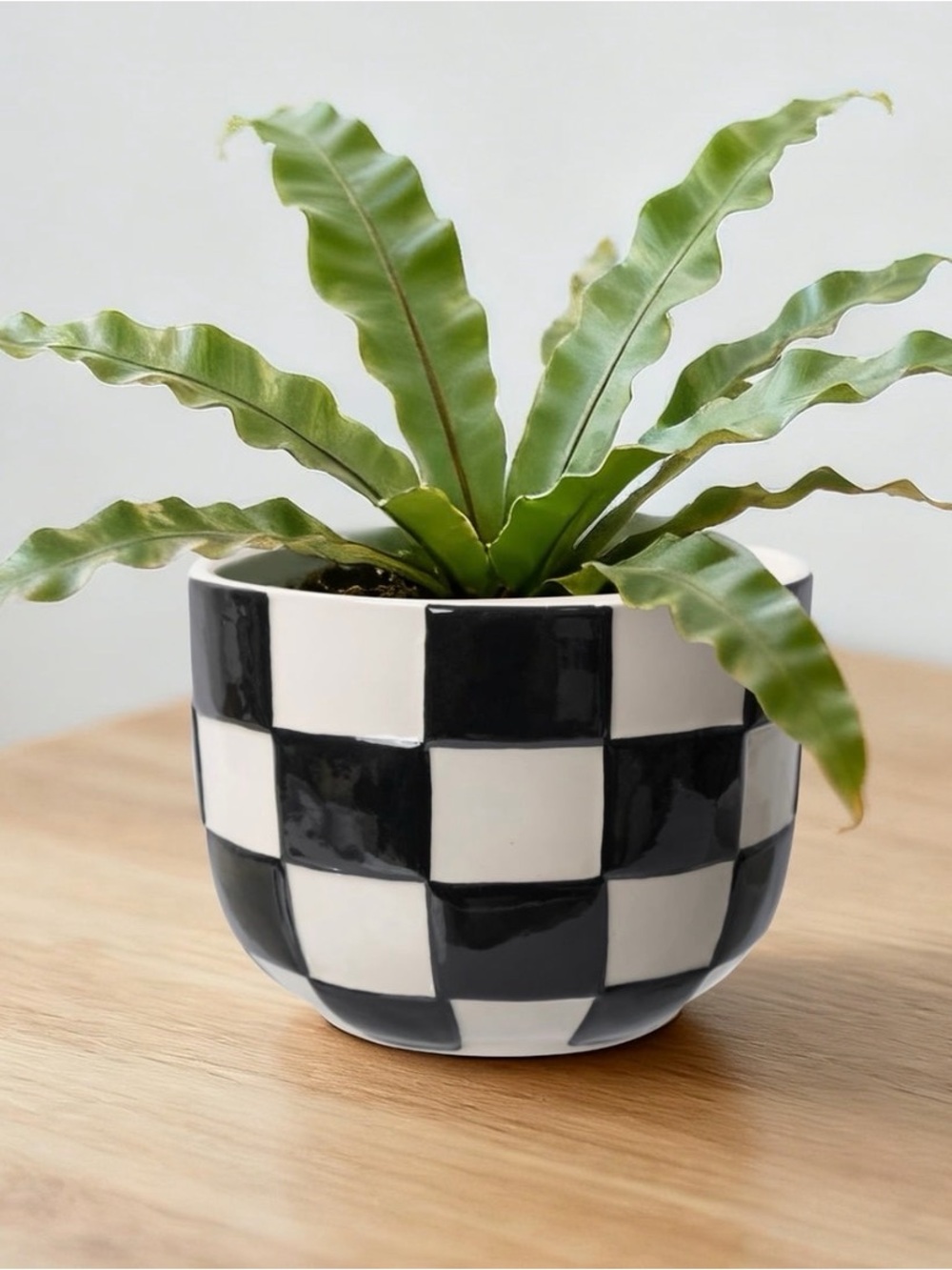 Lennon 8” Round Black Checkered Ceramic Planter